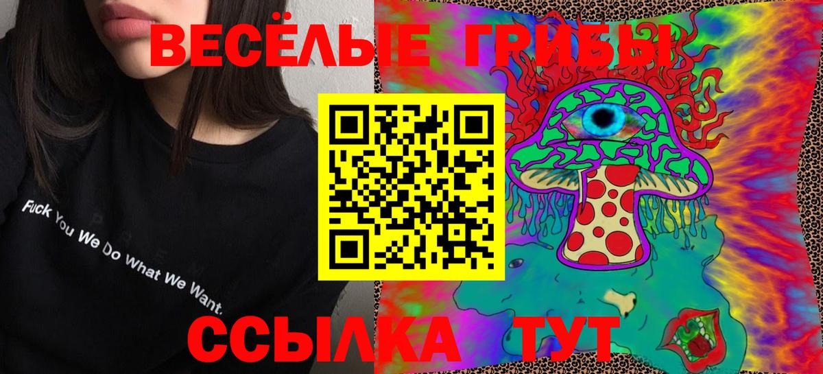Невинномысск  Псилоцибиновые грибы Psilocybine cubensis  Вход с VPN 