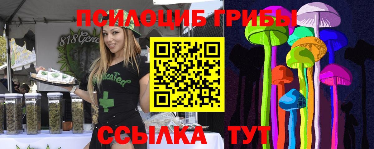 Псилоцибиновые грибы Cubensis Невинномысск